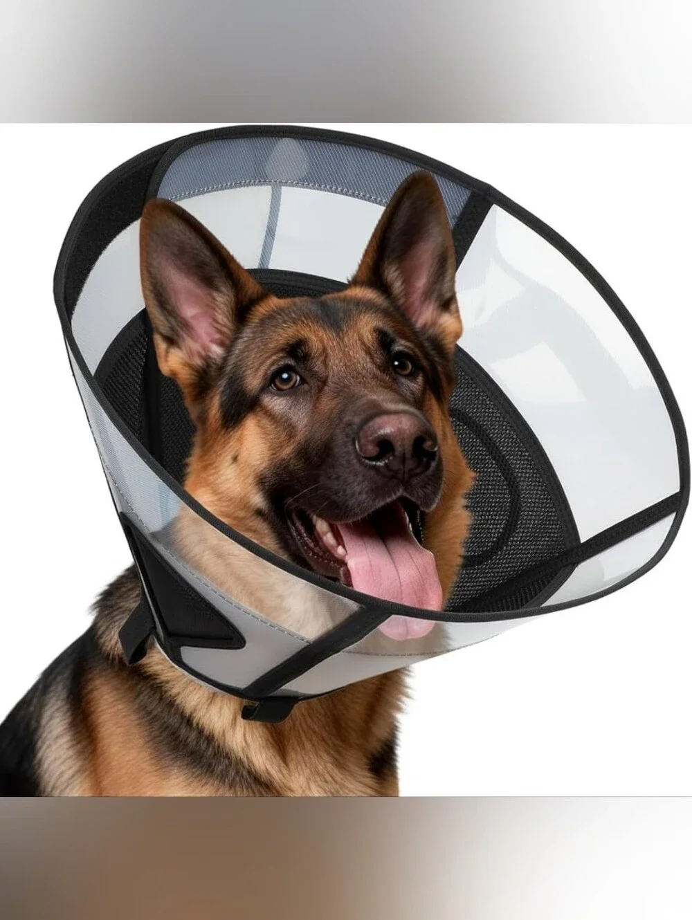 REOMORE Soft Dog Cone Collar for Large Dogs, Mesh Windows Transparent Top, XL